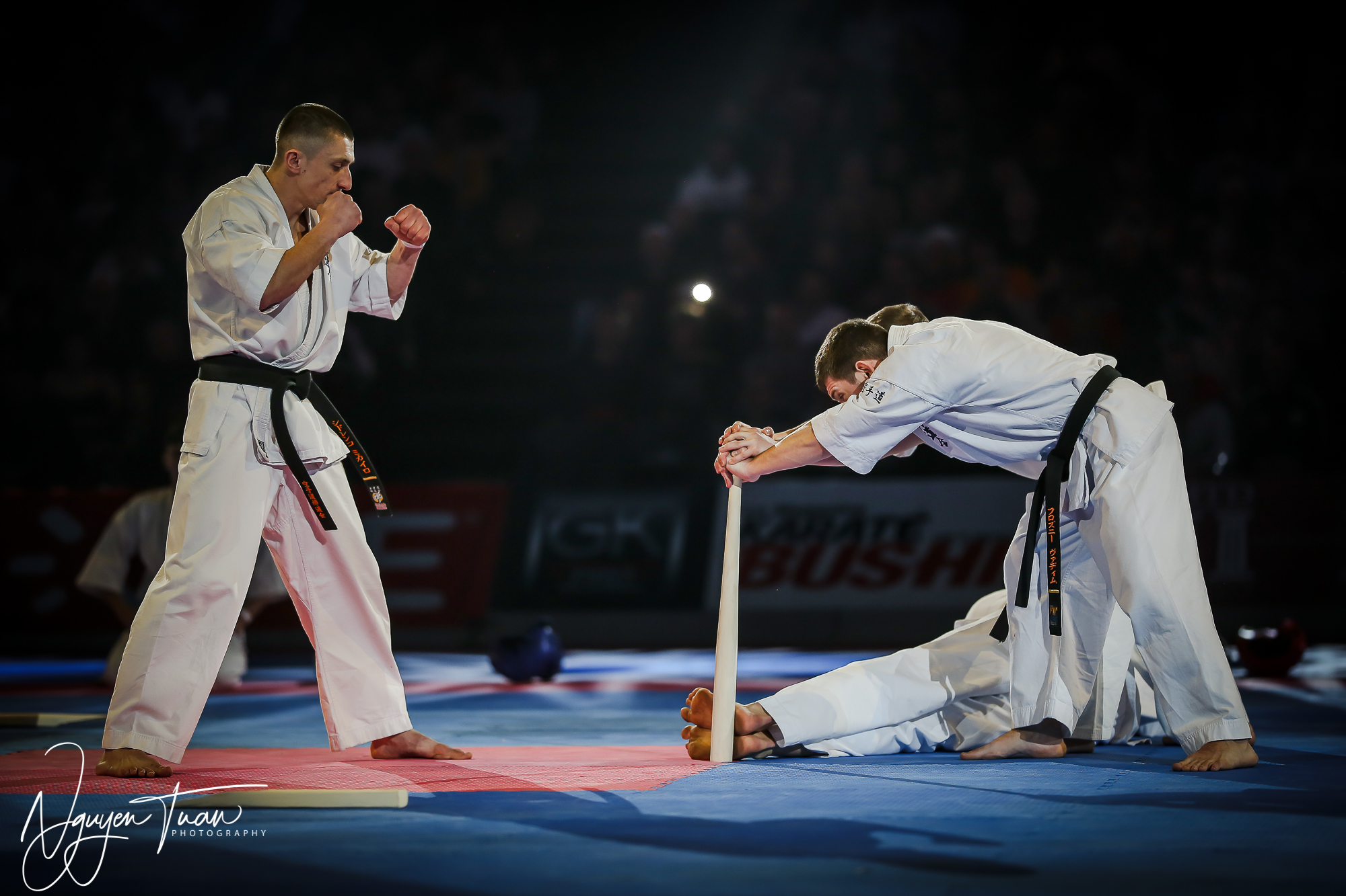 20190324 Festival des Arts Martiaux 3348